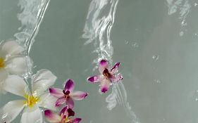 Grand Wailea Resort Hotel & Spa, A Waldorf Astoria Resort